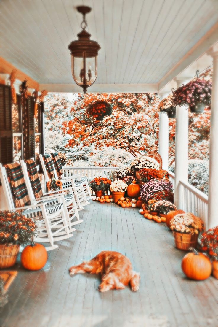 Autumn Backyard Wallpapers Wallpaper Cave