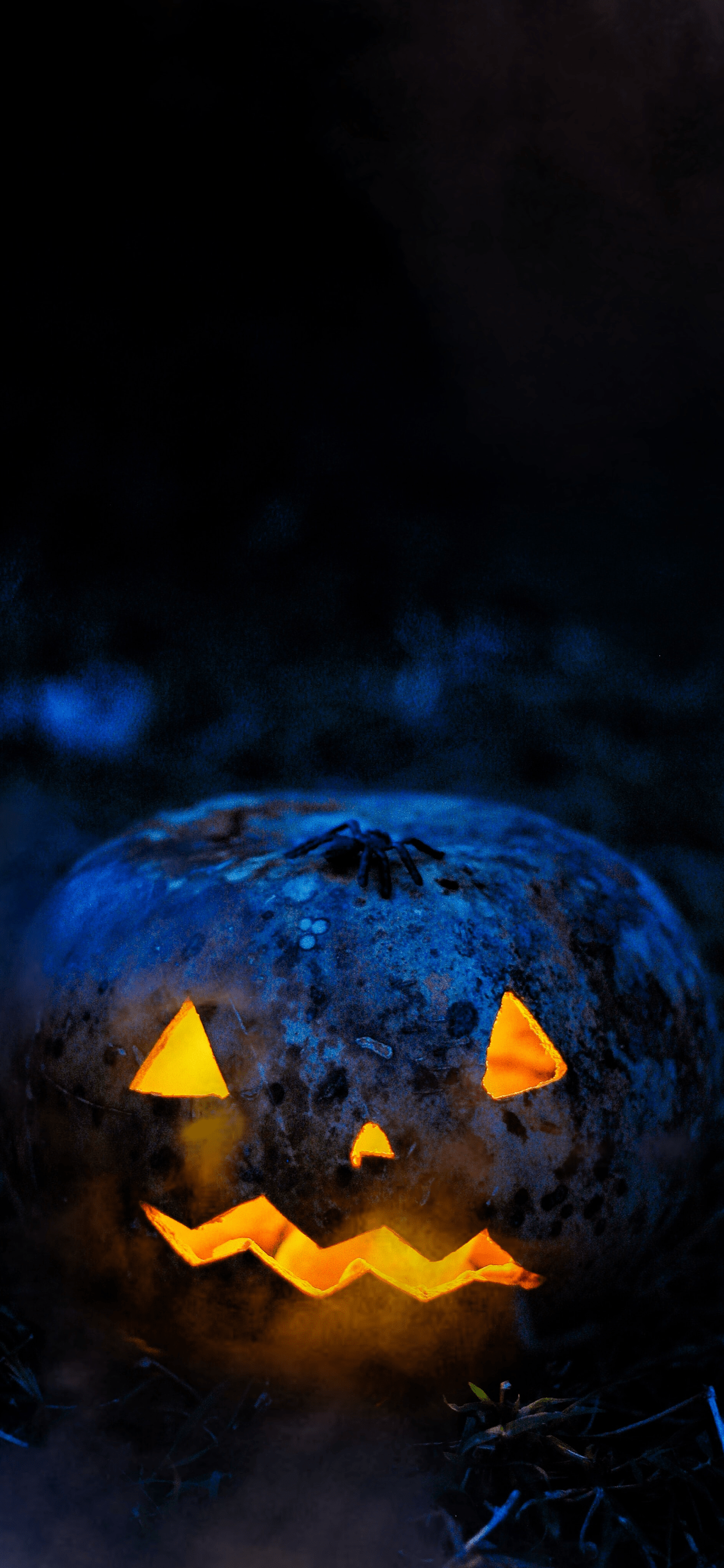 Pumpkin Halloween iPhone Wallpapers Wallpaper Cave