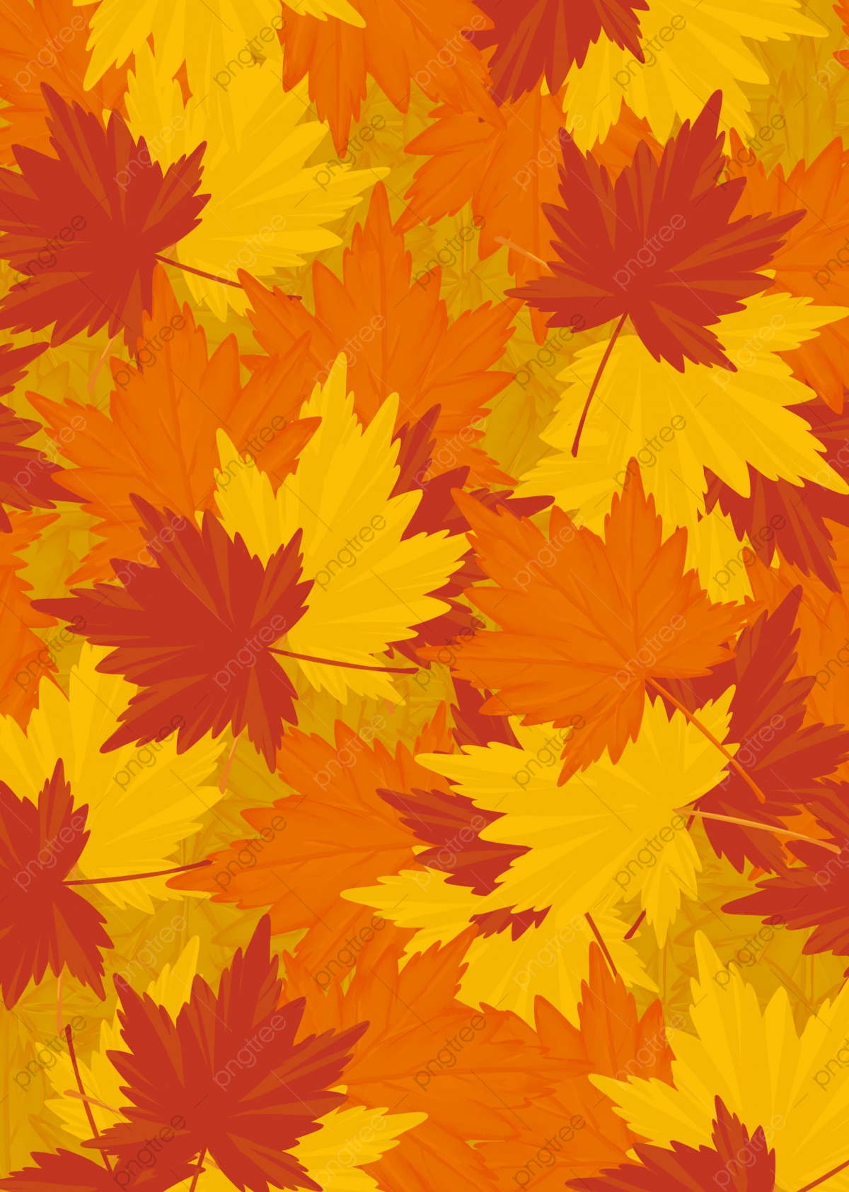 Autumn Leaf Colors Wallpapers Wallpaper Cave