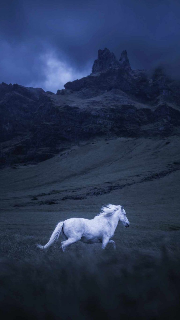 Running Horse iPhone Wallpapers Wallpaper Cave