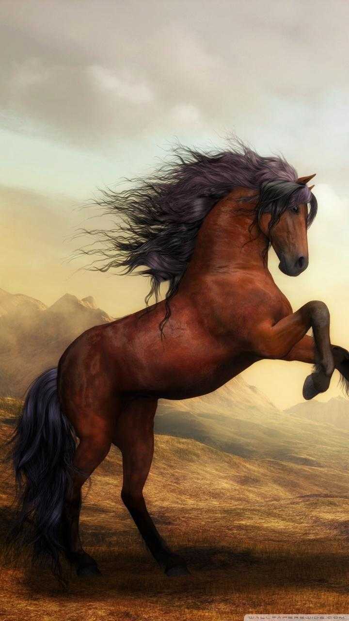 Running Horse iPhone Wallpapers Wallpaper Cave