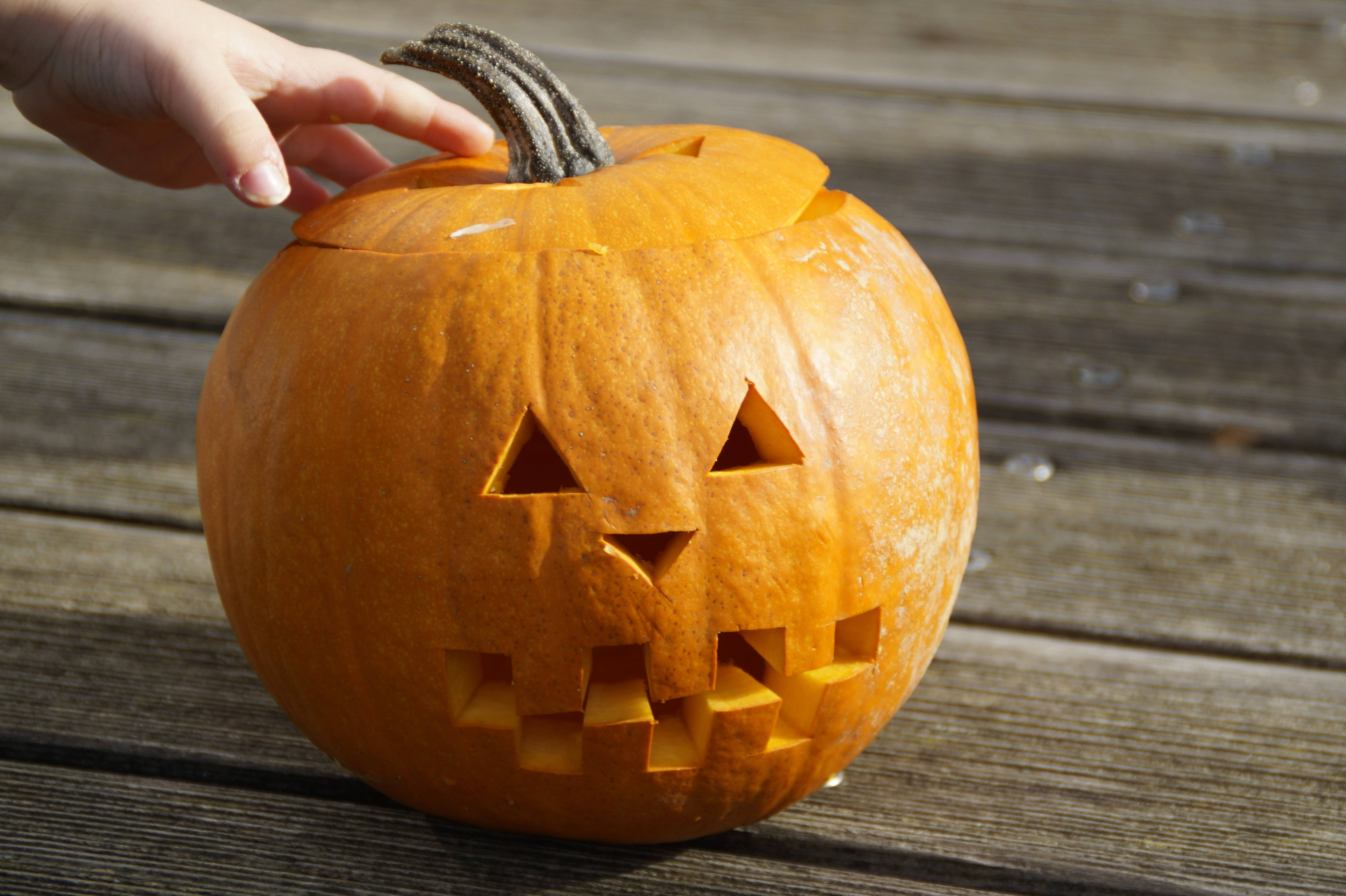 Cute Halloween And Pumpkin Wallpapers Wallpaper Cave