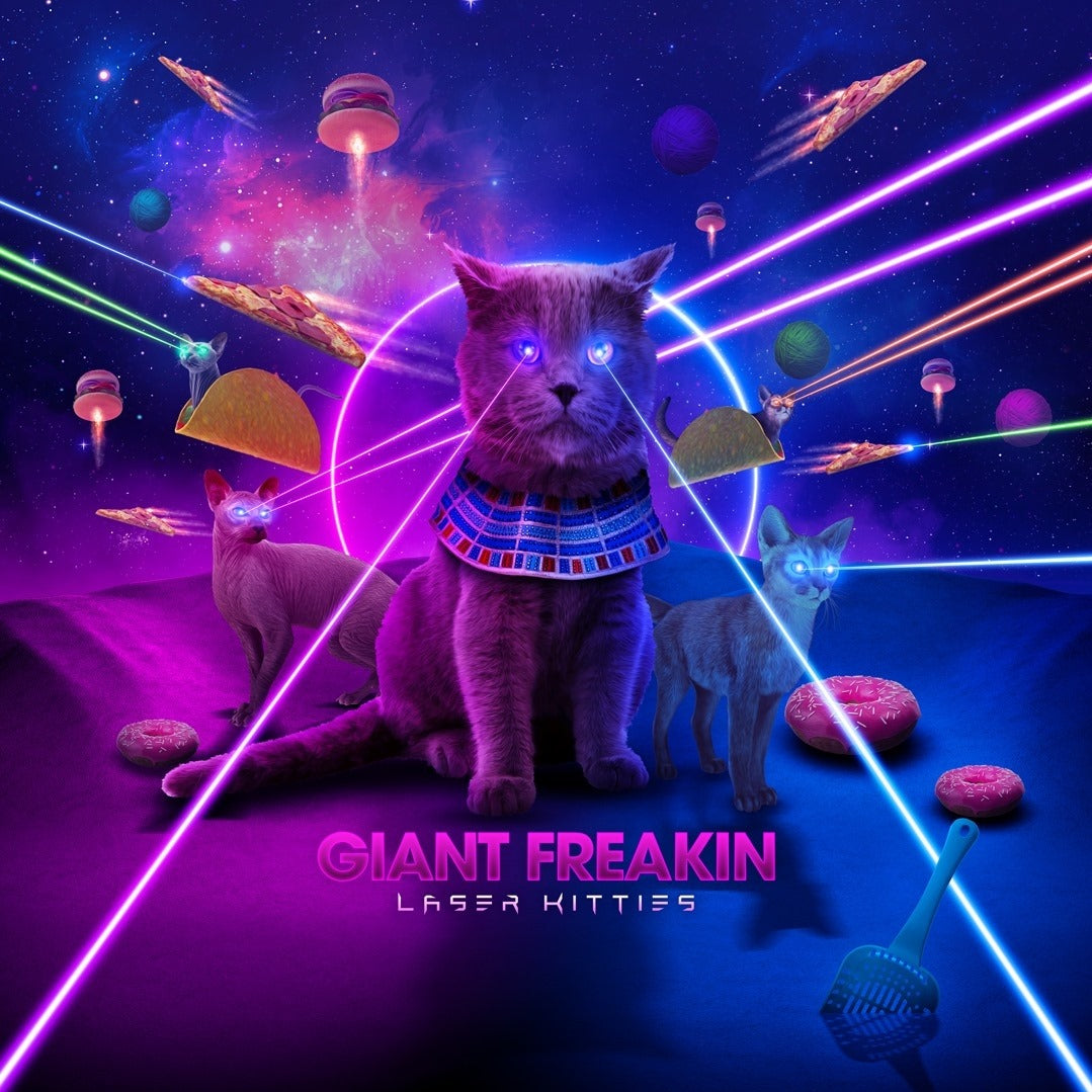 Laser Cat Wallpapers Wallpaper Cave