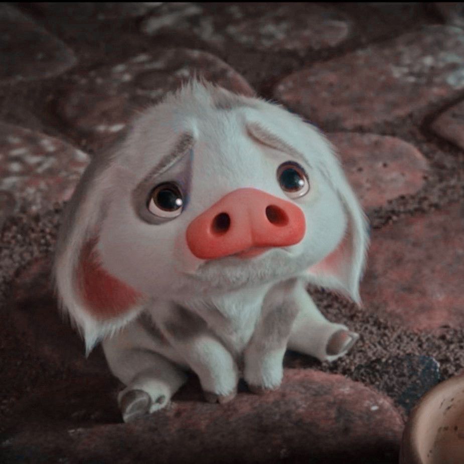 Pua Moana Wallpapers Wallpaper Cave