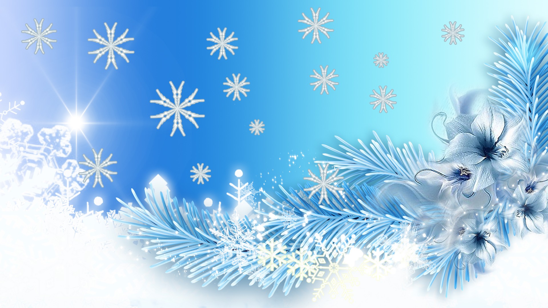 Blue Winter Flowers Wallpapers Wallpaper Cave