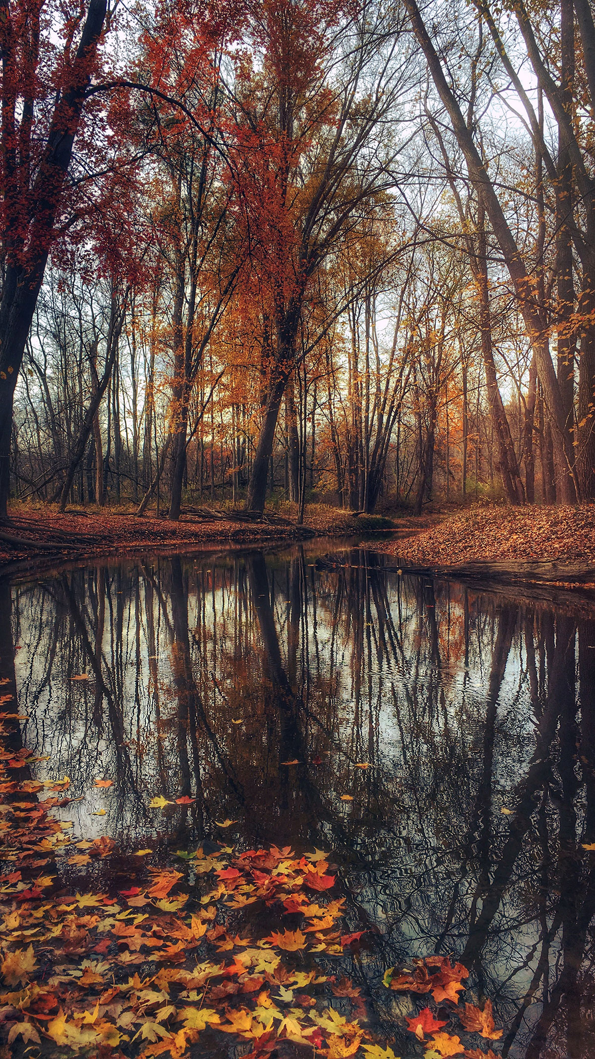 Beige Brown Aesthetic Nature Wallpapers Wallpaper Cave