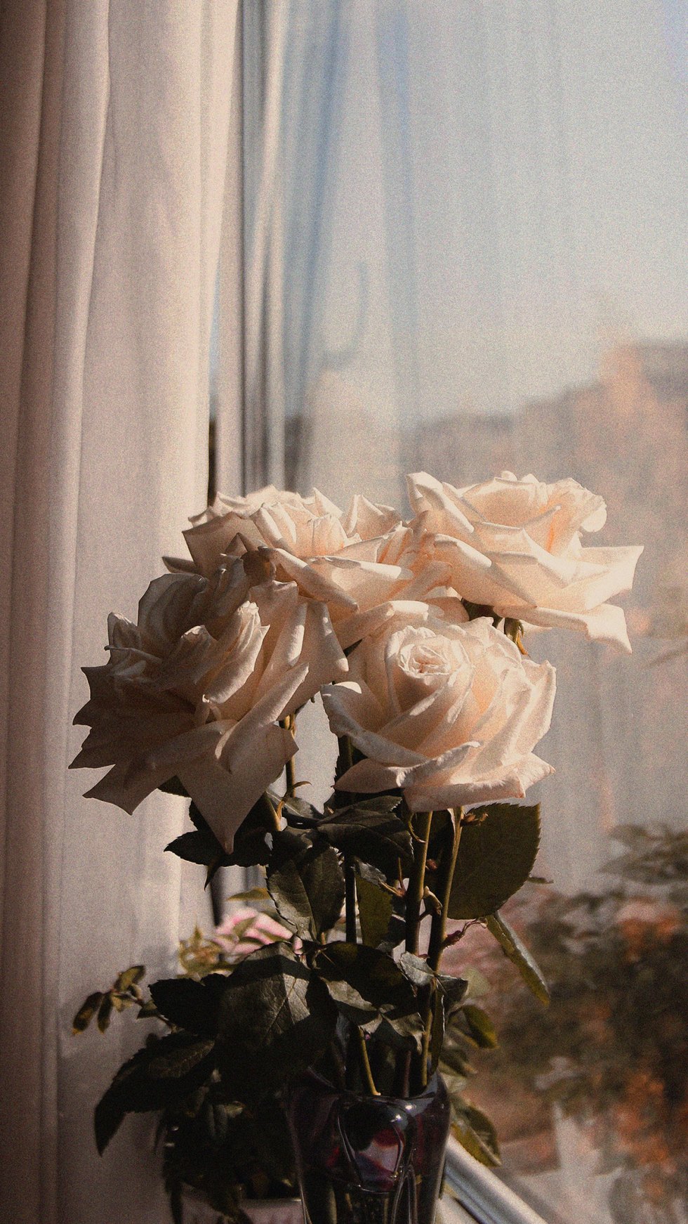 Dark Brown Aesthetic Wallpapers Wallpaper Cave