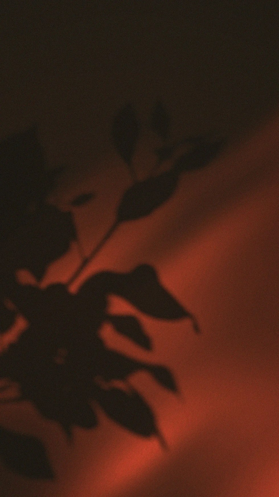 Dark Brown Aesthetic Wallpapers Wallpaper Cave