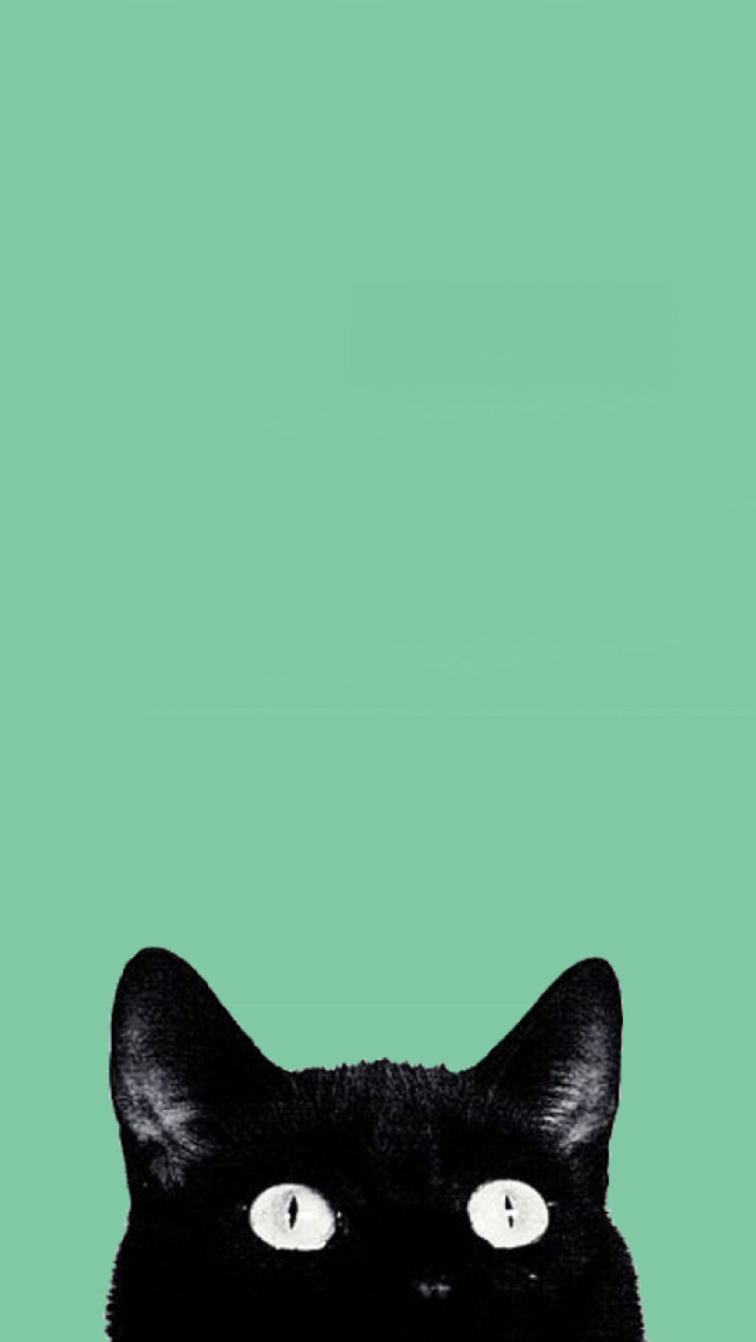 Green Cats Wallpapers Wallpaper Cave