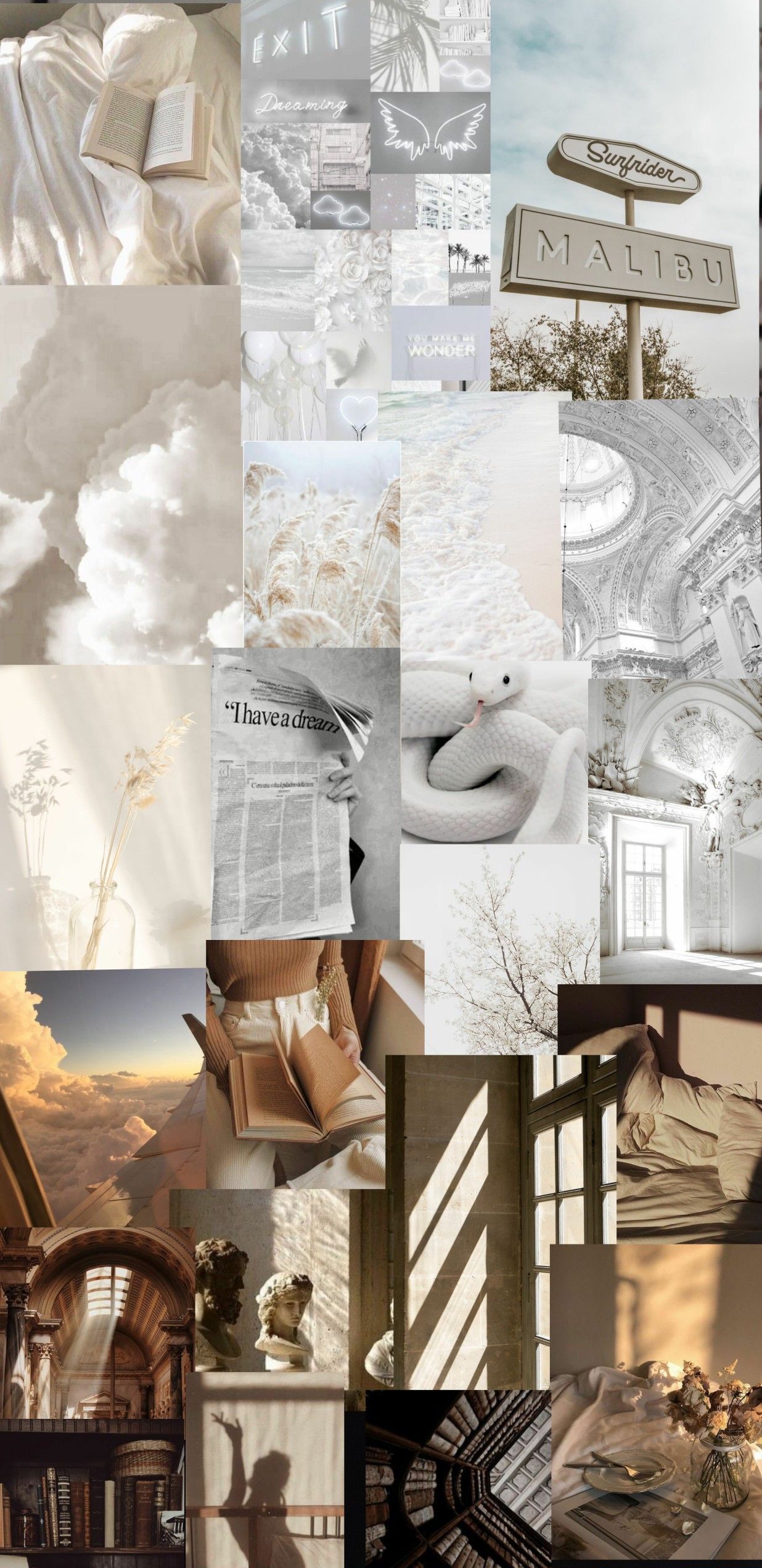 White And Brown Wallpapers Wallpaper Cave