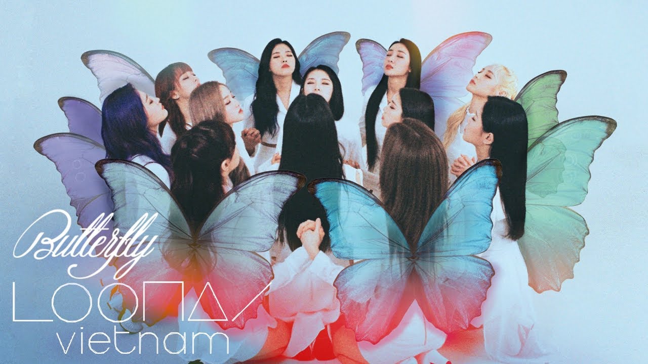 Loona Butterfly Wallpapers Wallpaper Cave