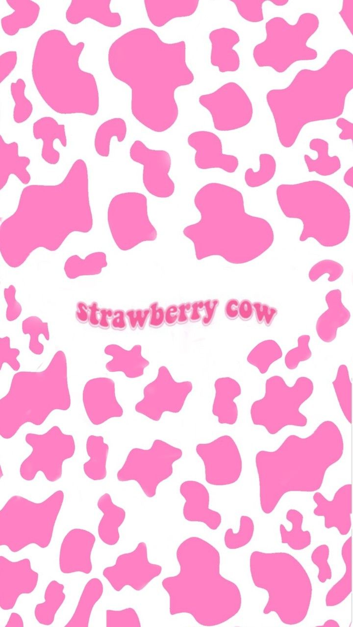 Preppy Cow Wallpapers Wallpaper Cave