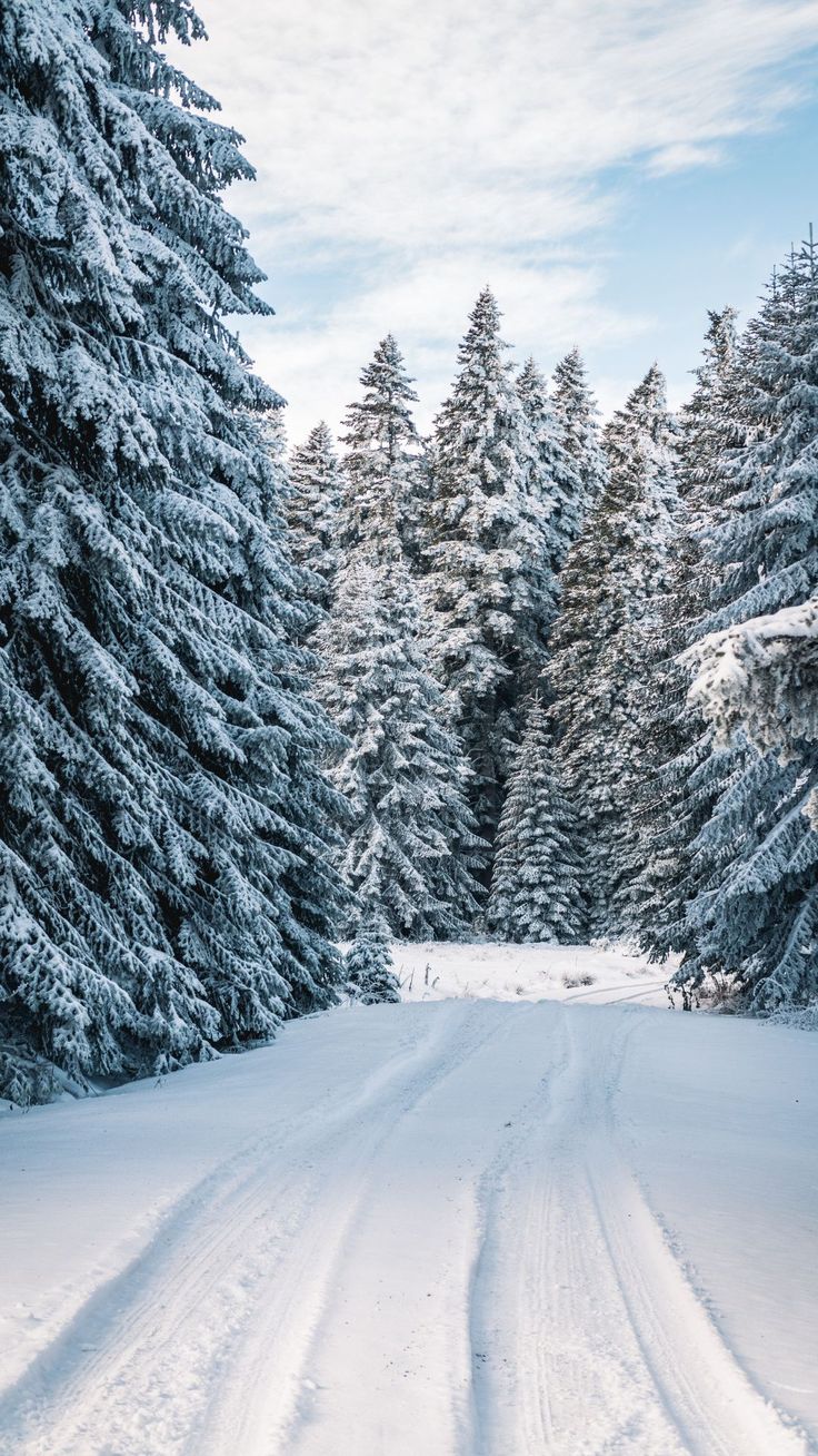 Aesthetic Blue Winter Wallpapers Wallpaper Cave