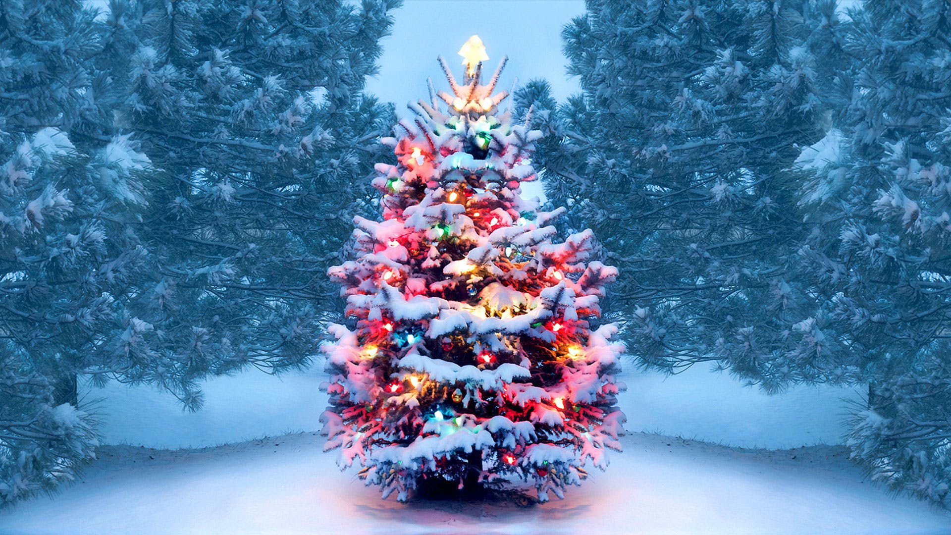 Christmas Tree Macbook Wallpapers Wallpaper Cave