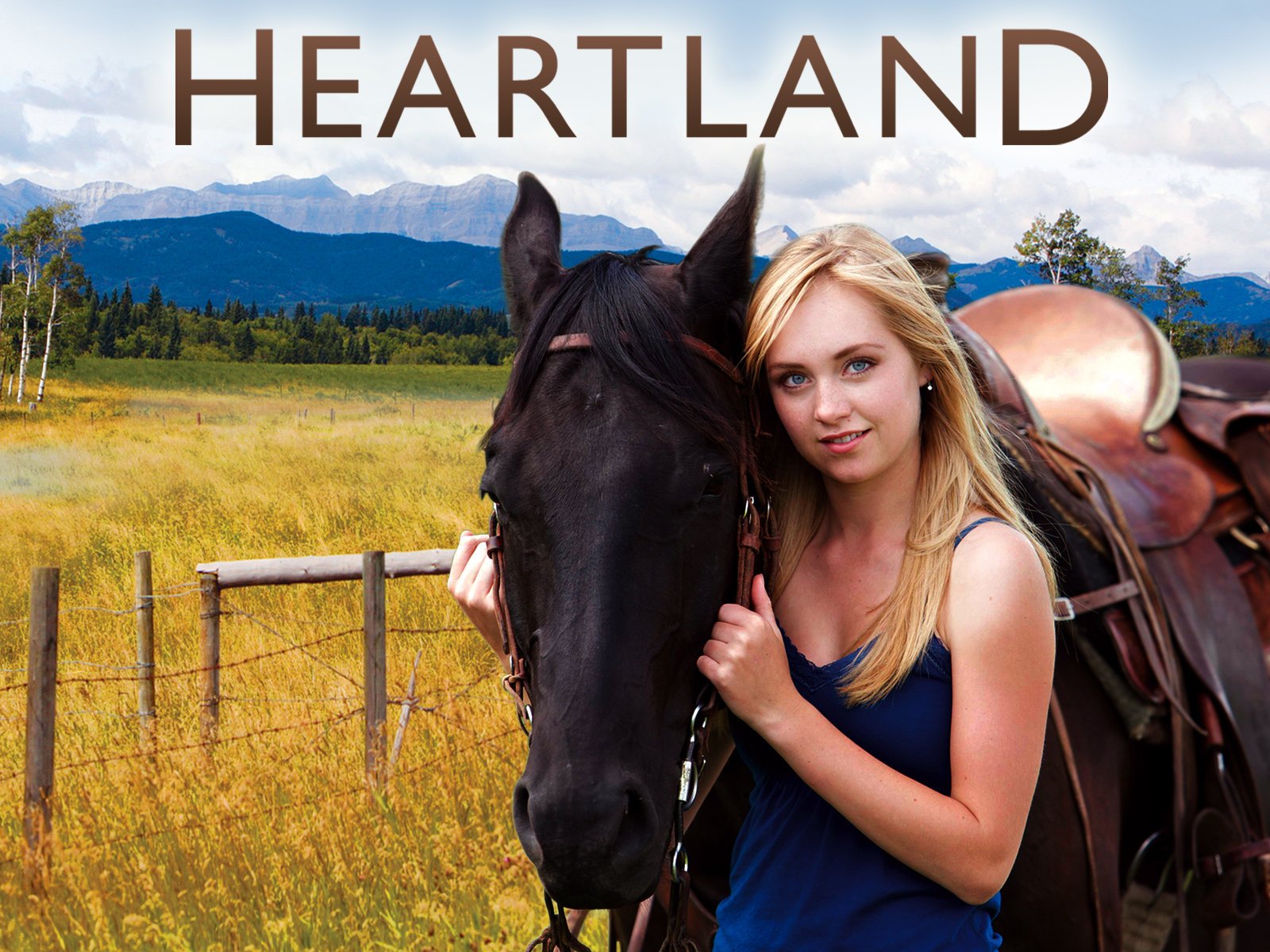 Heartland Amy And Spartan Wallpapers Wallpaper Cave