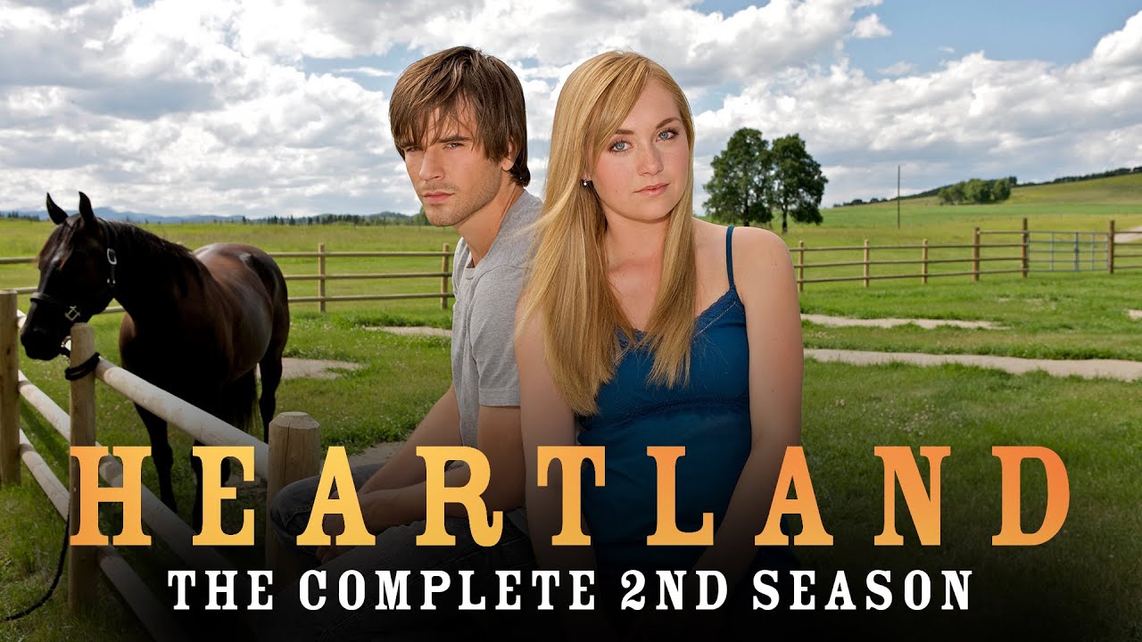 Heartland Amy And Spartan Wallpapers Wallpaper Cave