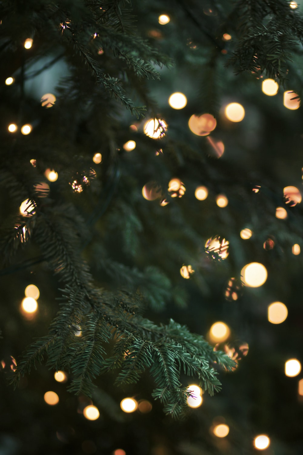 Dark Green Christmas Wallpapers Wallpaper Cave