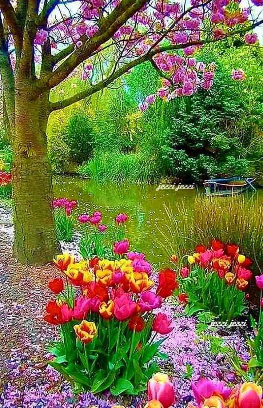 Lovely Flower Wallpapers Wallpaper Cave