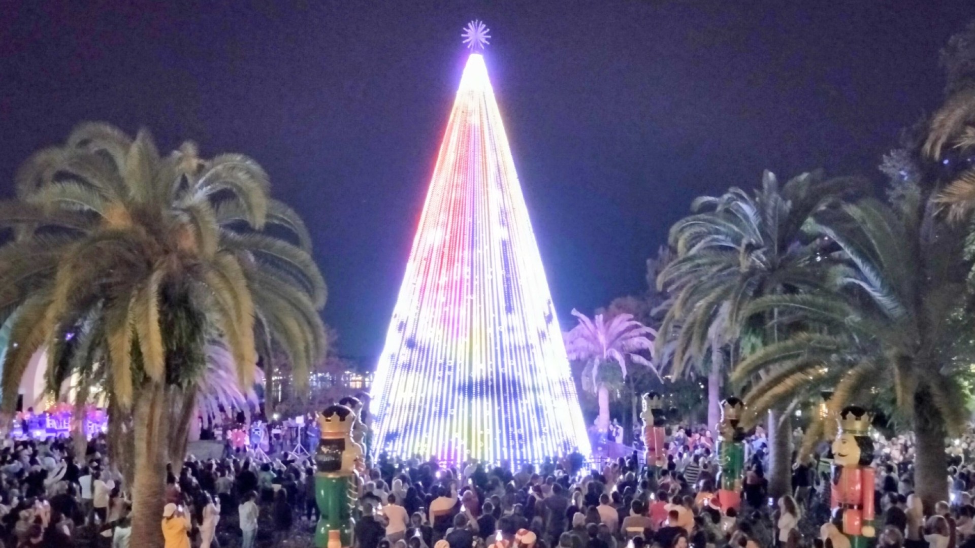 Christmas Lights On Palm Tree Wallpapers - Wallpaper Cave