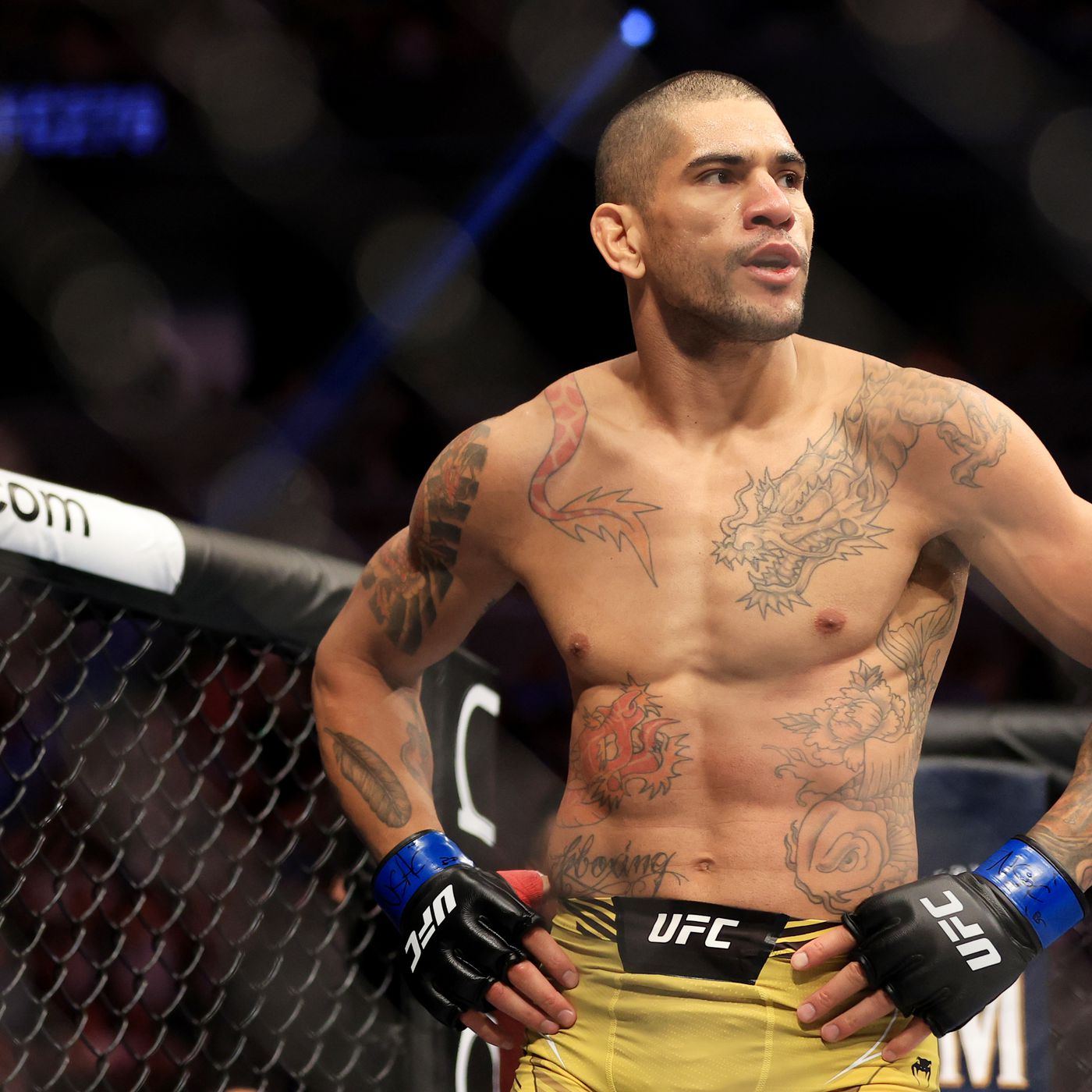 Alex Pereira Wallpapers Wallpaper Cave