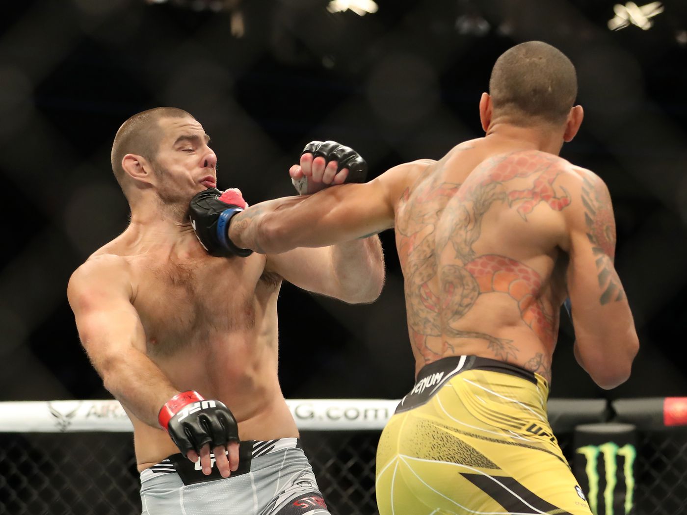 Alex Pereira Wallpapers Wallpaper Cave