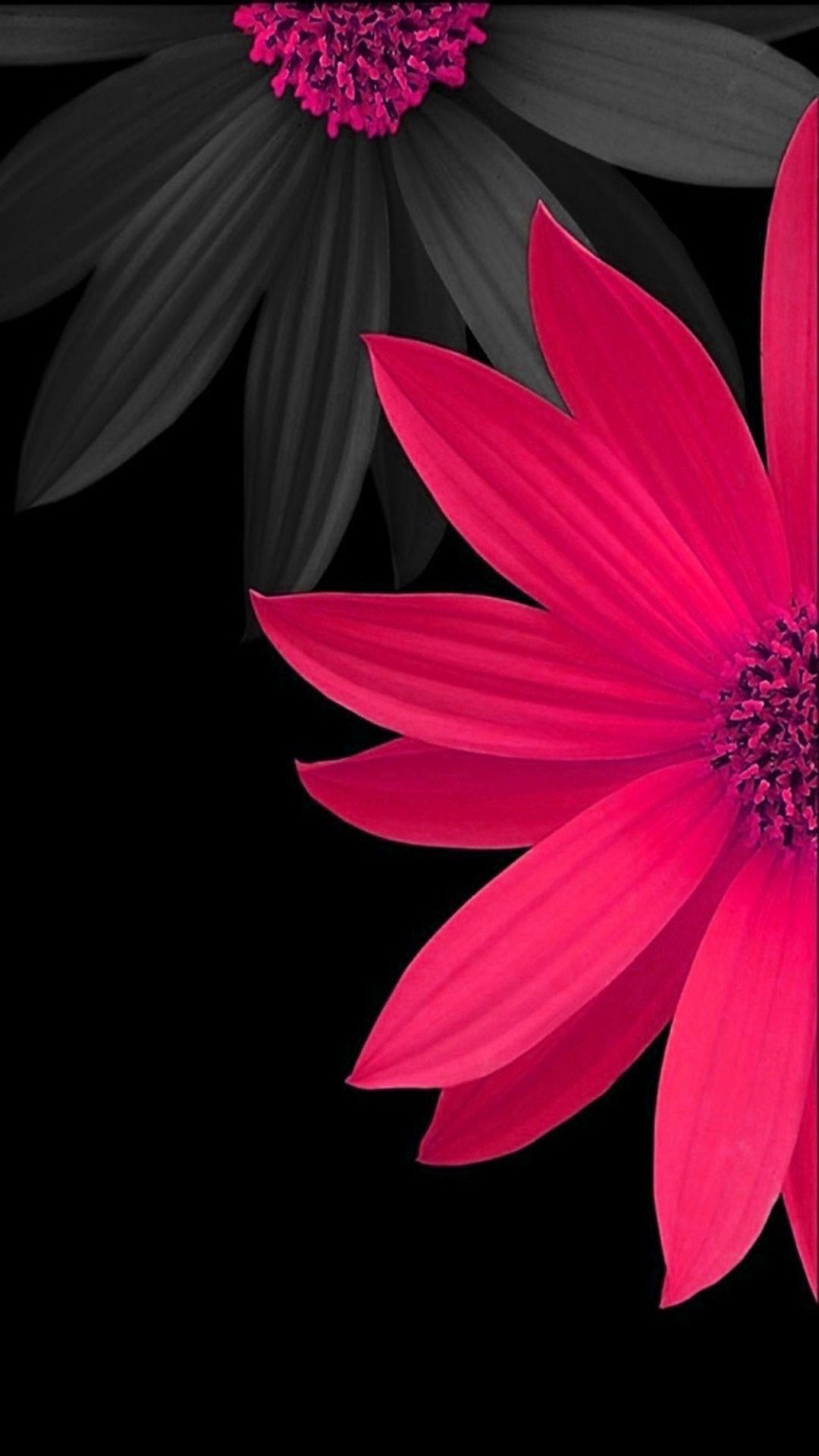 Samsung Flower Wallpapers Wallpaper Cave