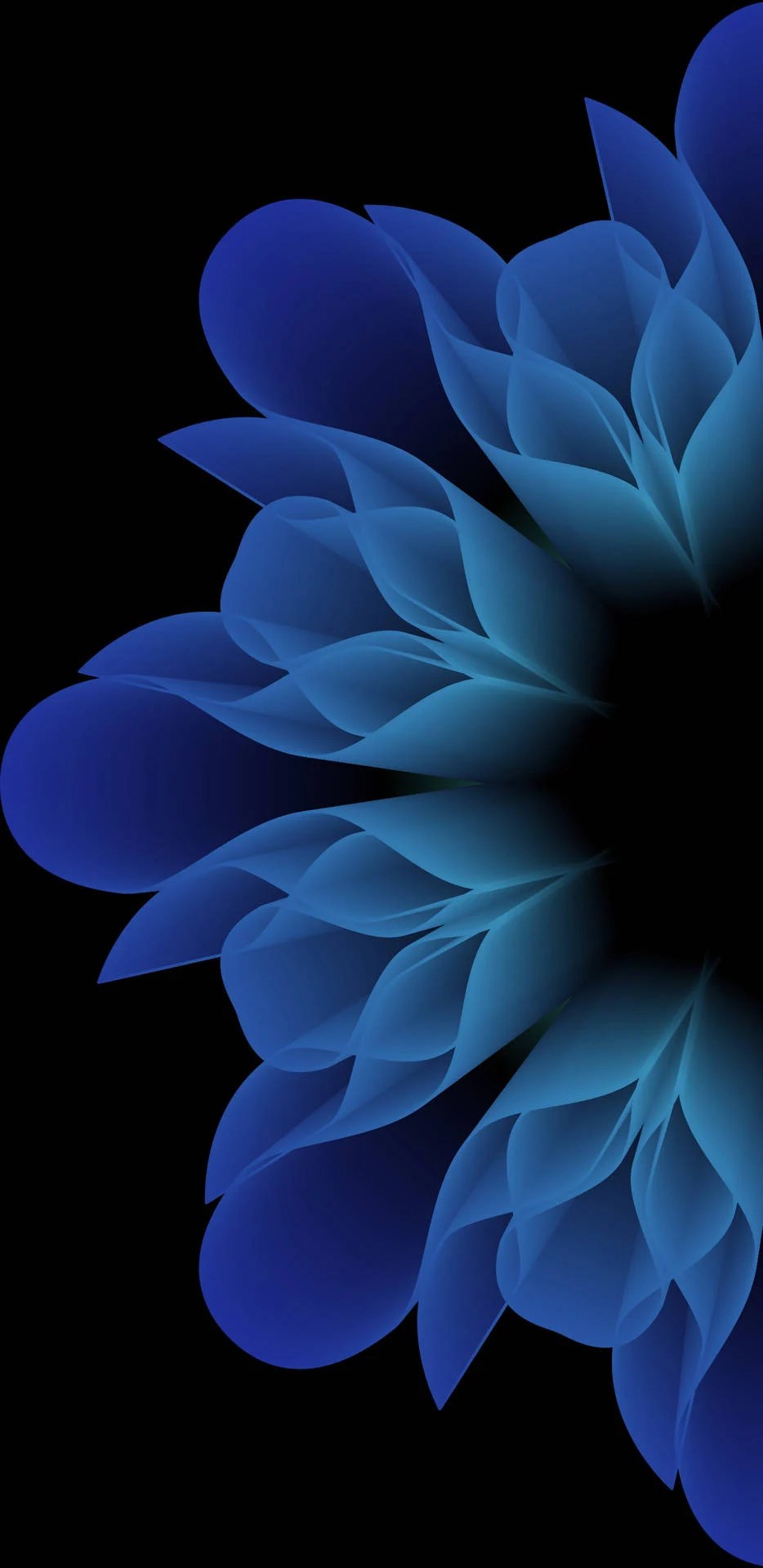 Samsung Flower Wallpapers Wallpaper Cave