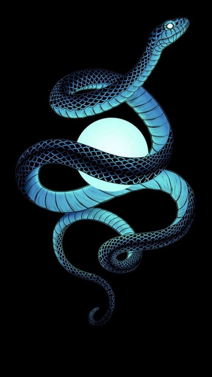 Blue Snakes Wallpapers
