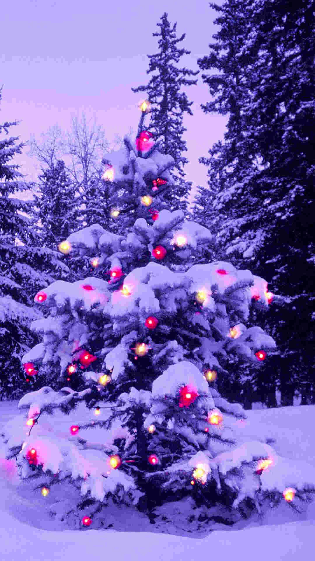 Purple Christmas Trees Wallpapers Wallpaper Cave