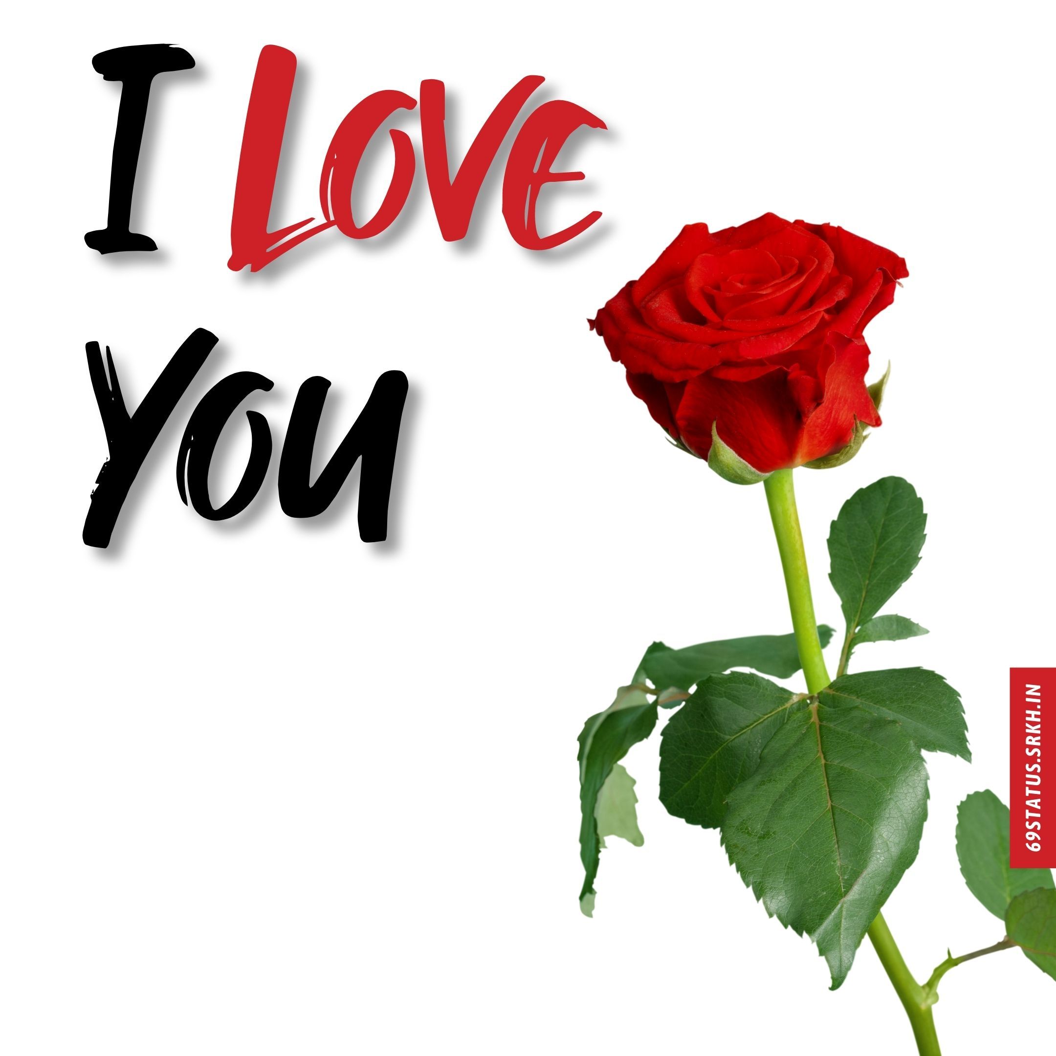 I Love You Rose Wallpapers Wallpaper Cave