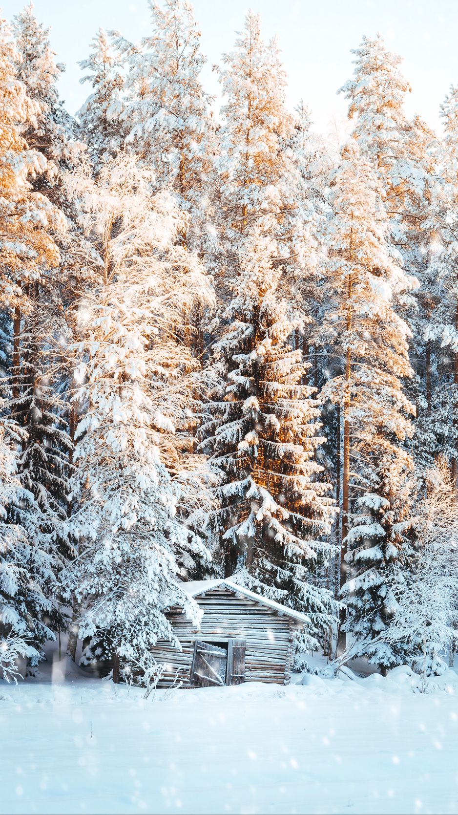 Winter Snowfall Tree Wallpapers Wallpaper Cave