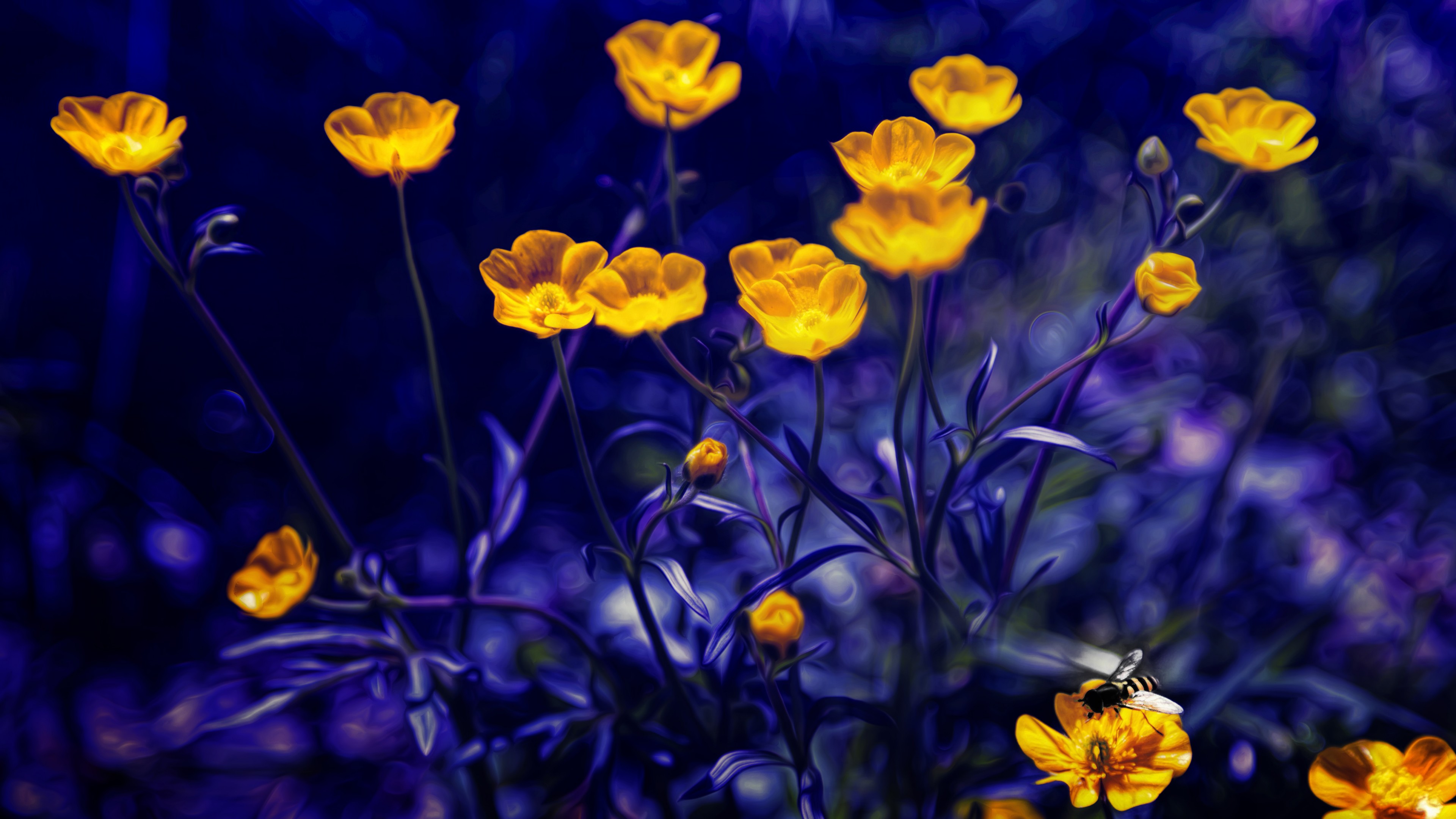 Blue And Yellow Flowers Wallpapers Wallpaper Cave