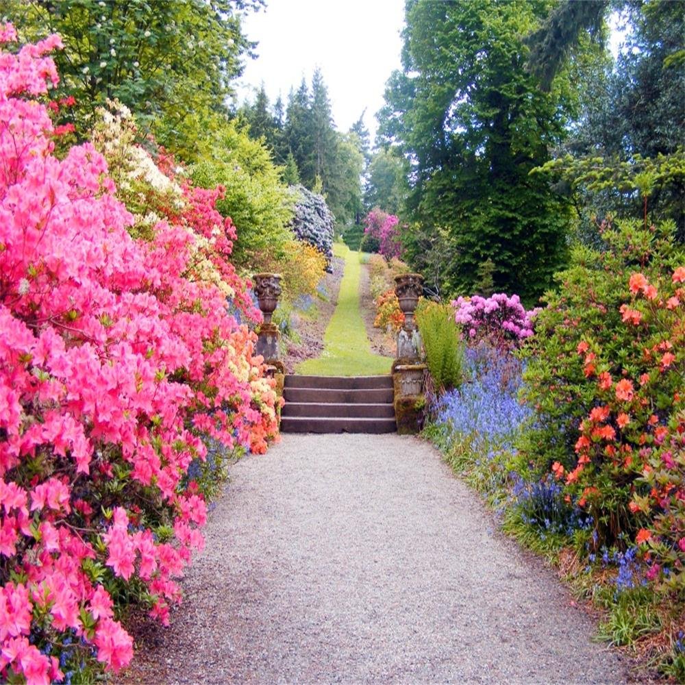 Spring Outdoor Wallpapers Wallpaper Cave