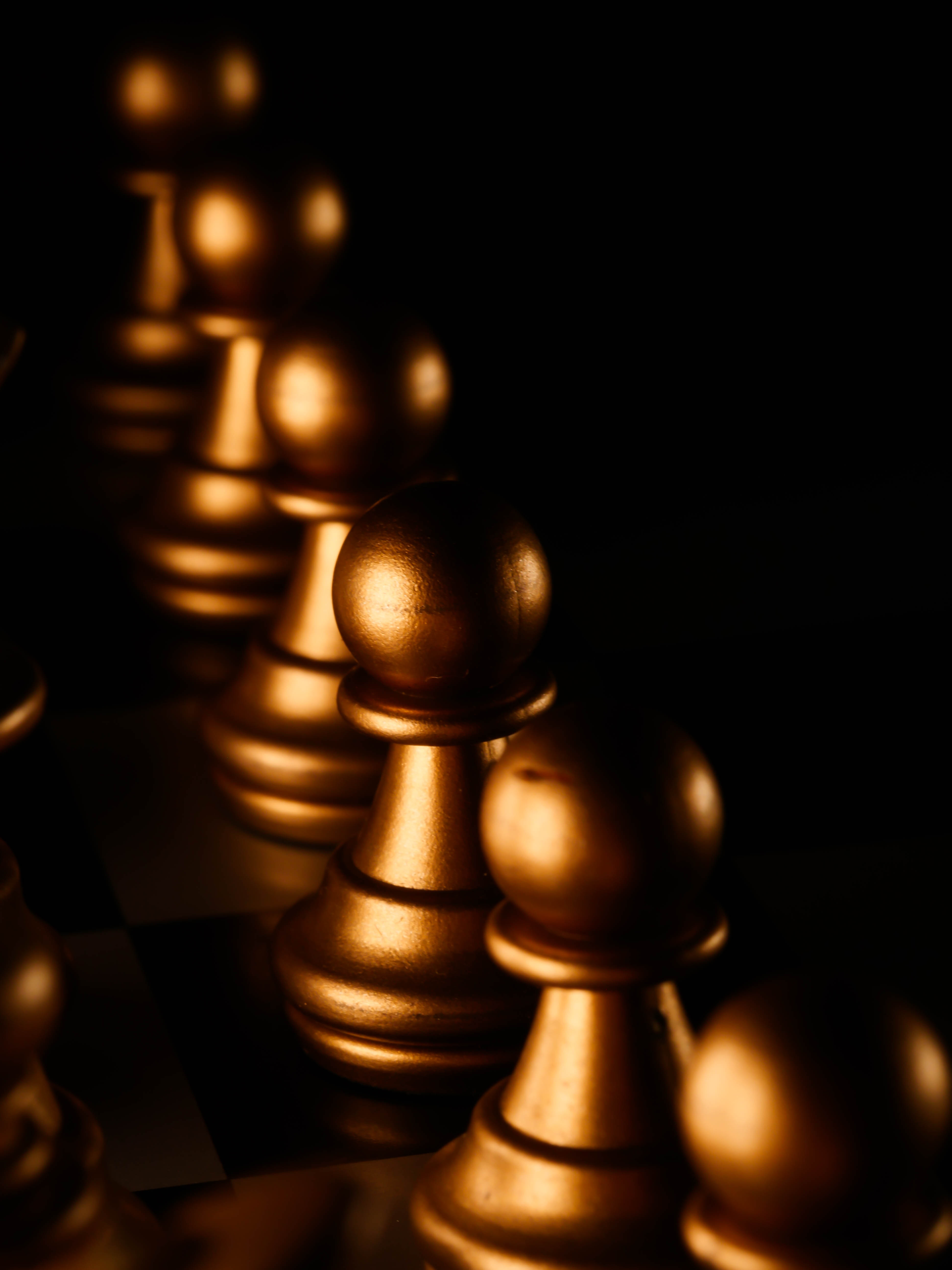 Golden Chess Horse Wallpapers Wallpaper Cave