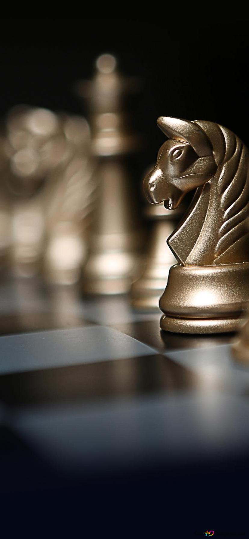 Golden Chess Horse Wallpapers Wallpaper Cave