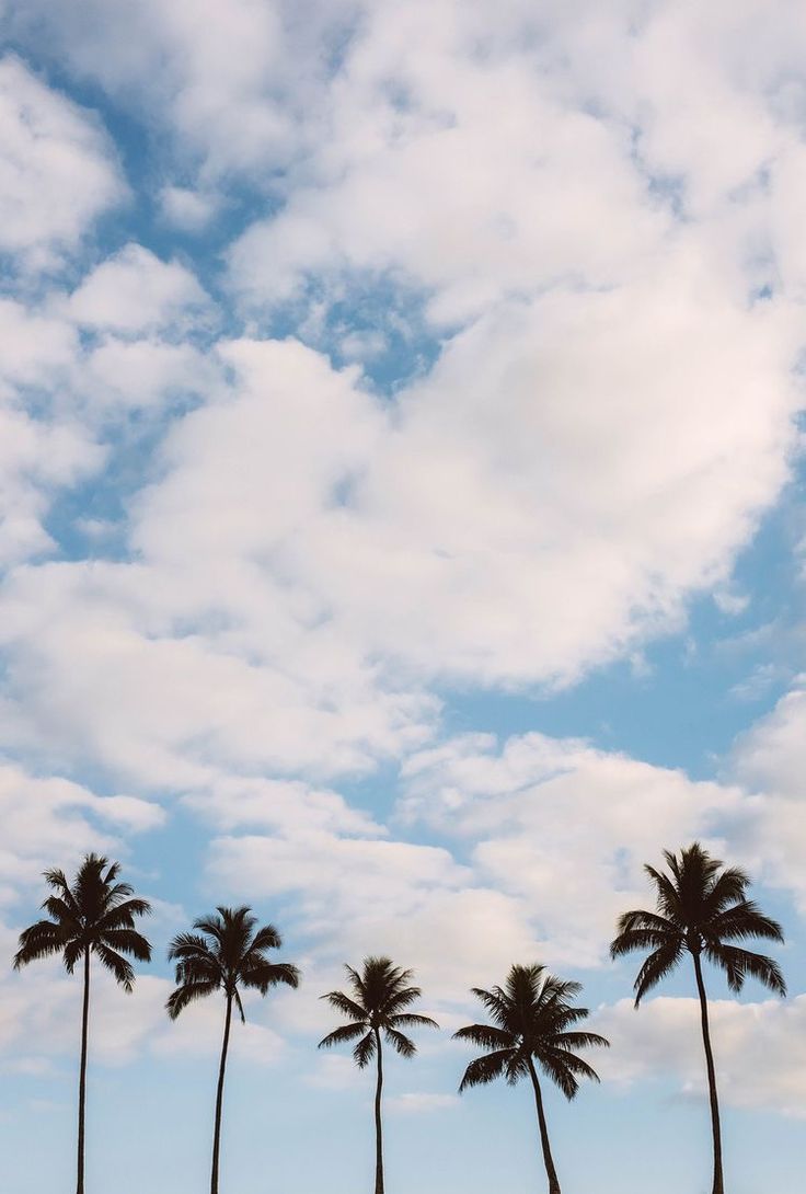 FYP Wallpapers - Wallpaper Cave