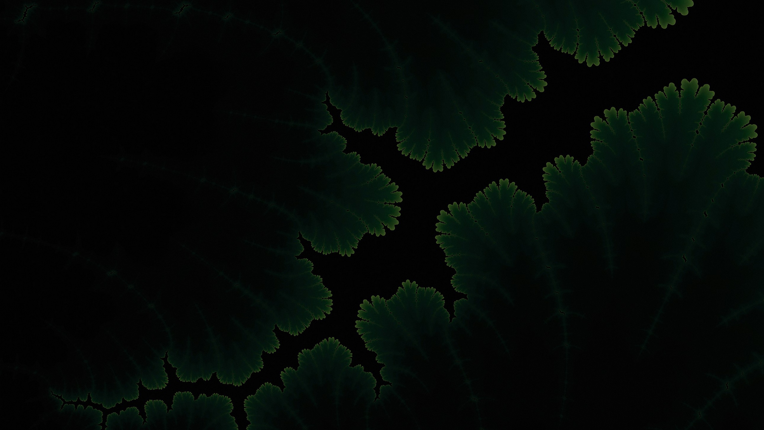 Dark Green Laptop Wallpapers Wallpaper Cave