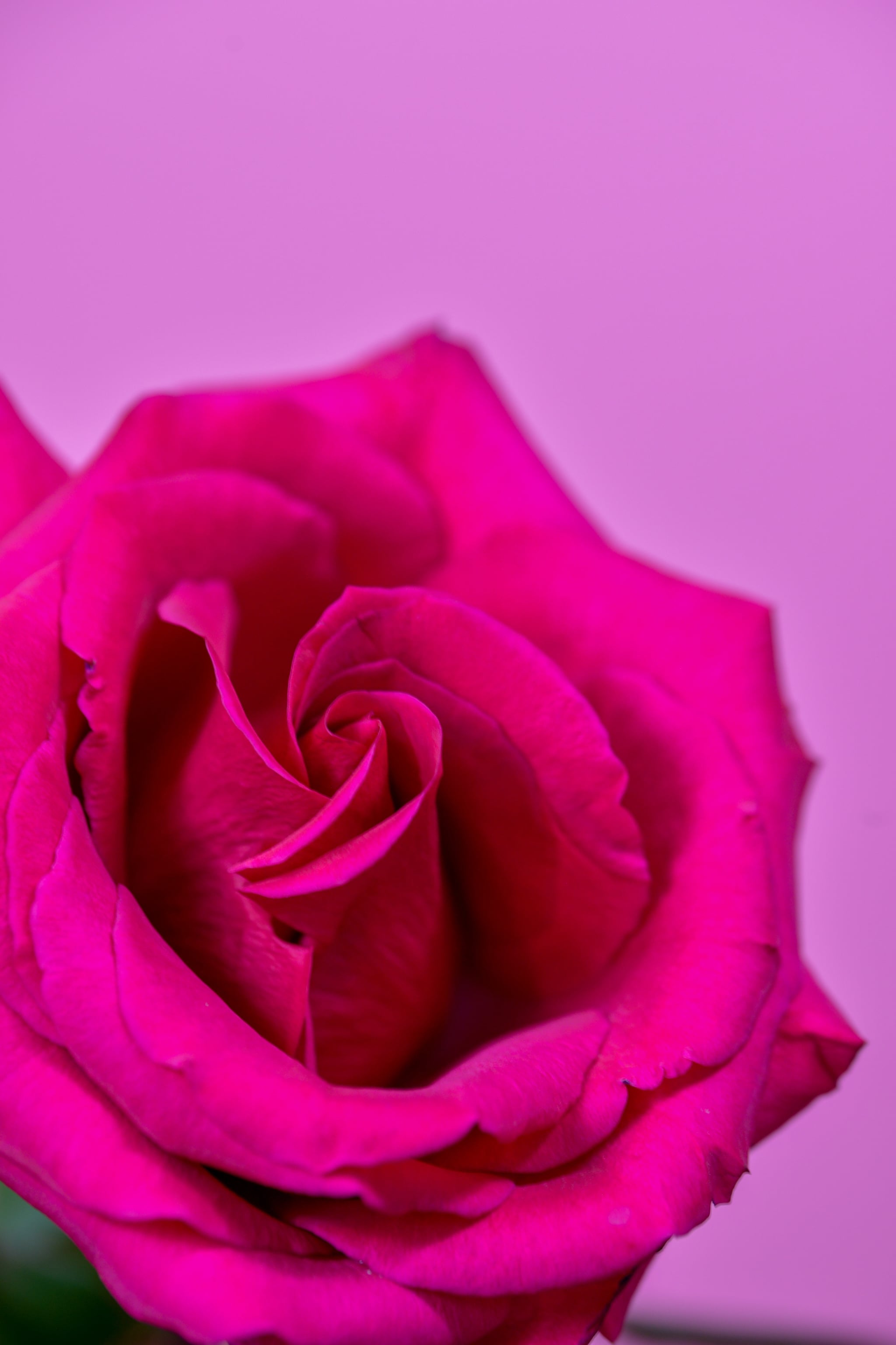 Aesthetic Pink Valentines Wallpapers Wallpaper Cave