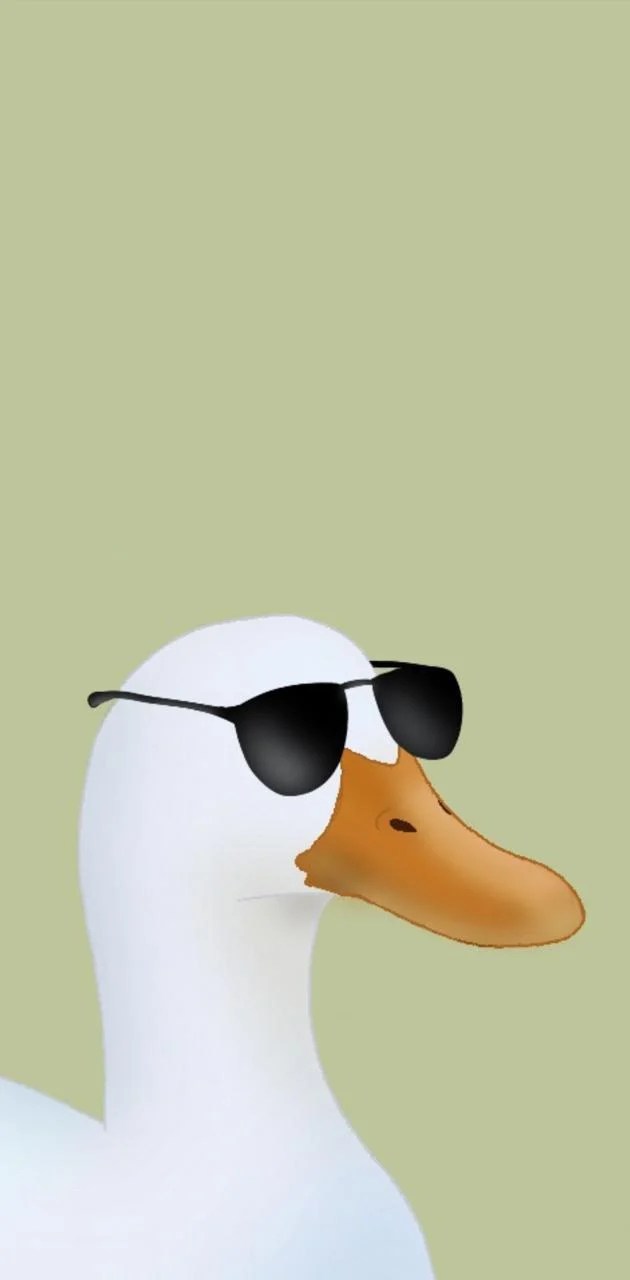 Cool Duck Wallpapers Wallpaper Cave