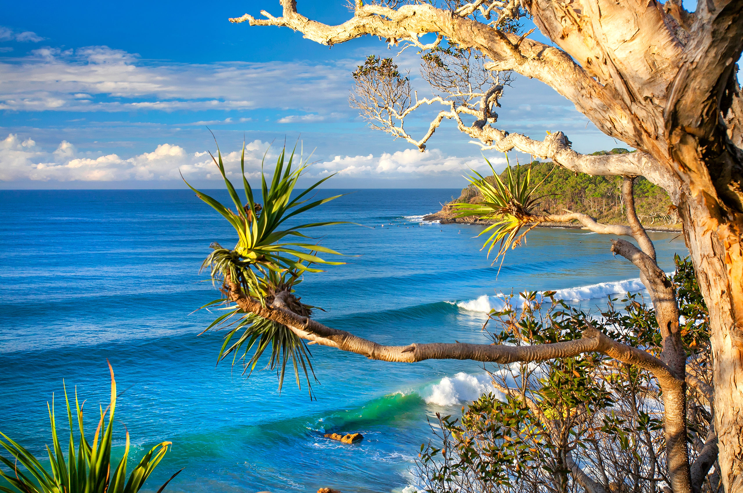 Noosa Wallpapers Wallpaper Cave
