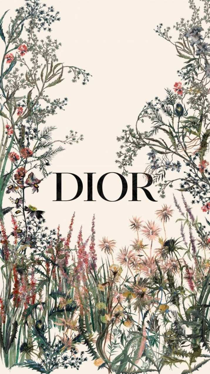 Dior Aesthetic Wallpapers Wallpaper Cave