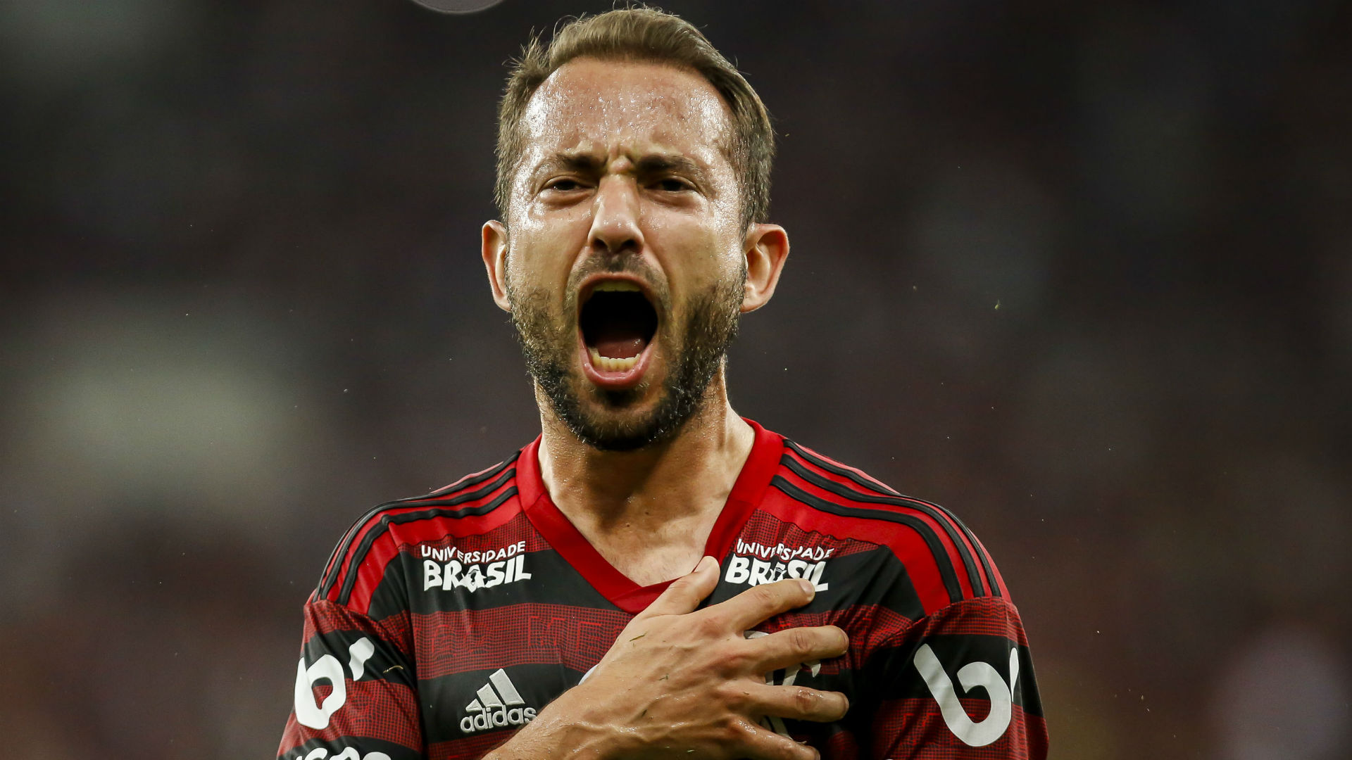 Everton Ribeiro Wallpapers Wallpaper Cave
