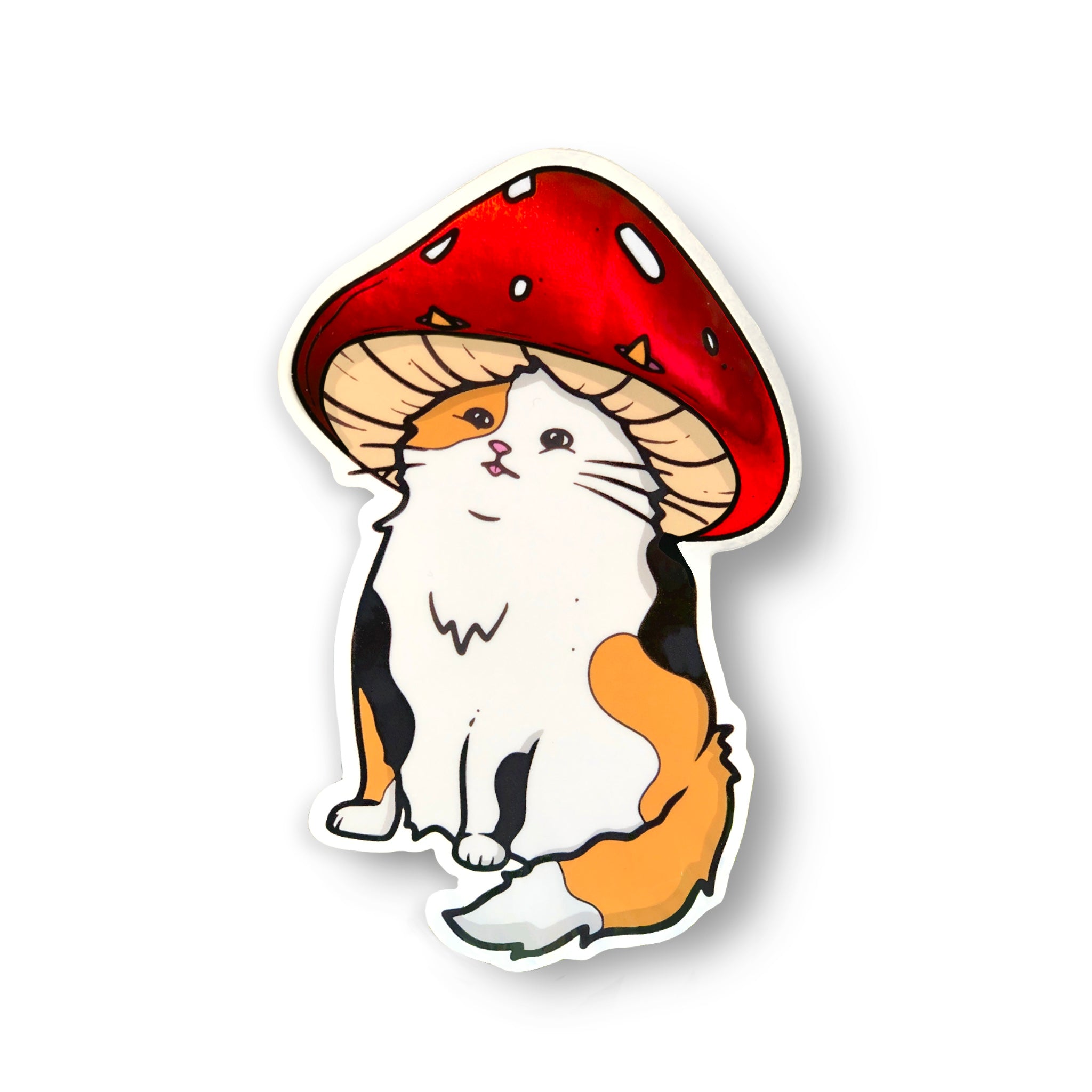 Mushroom Cat Wallpapers Wallpaper Cave