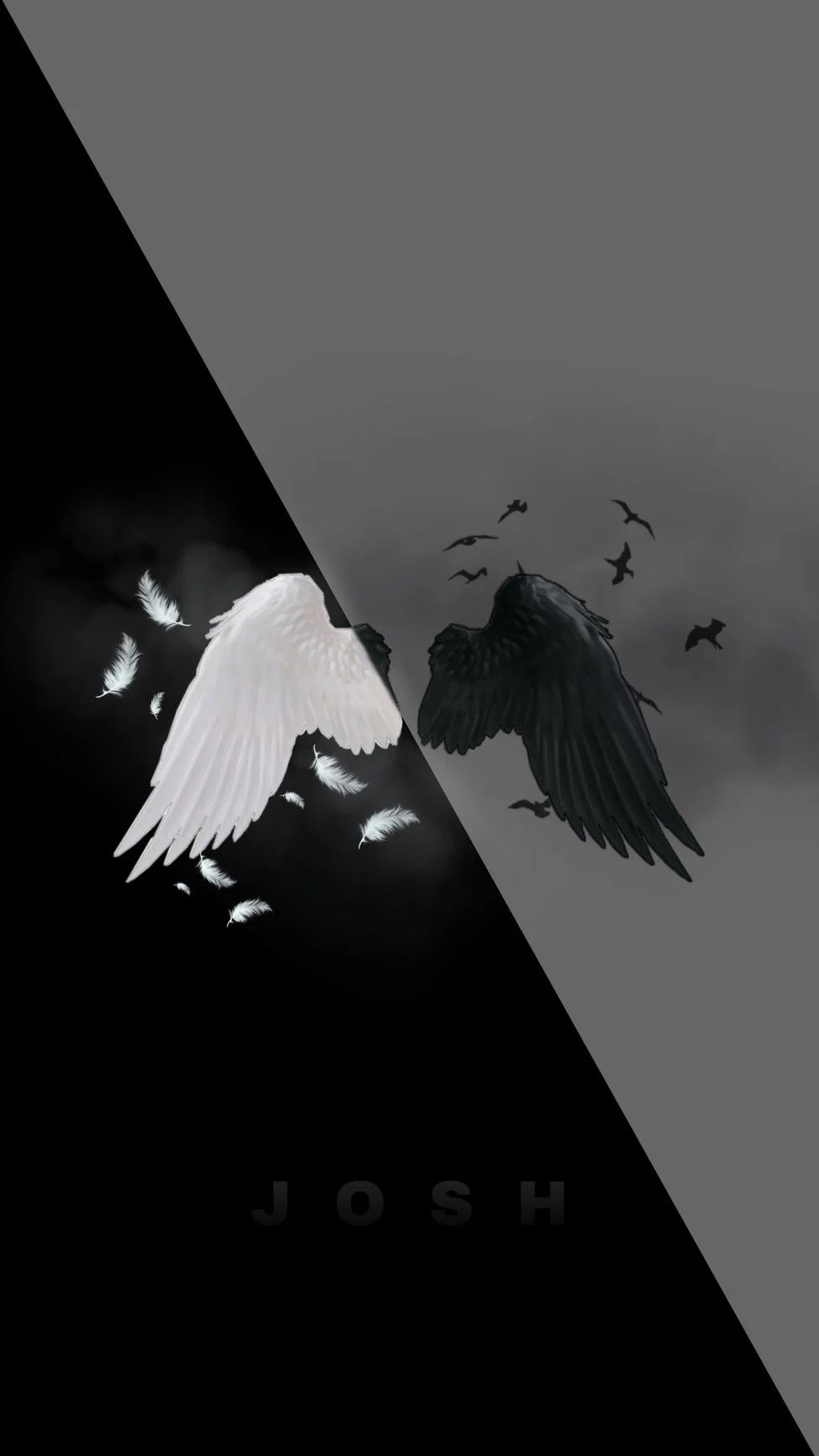 Black And White Wings Wallpapers Wallpaper Cave