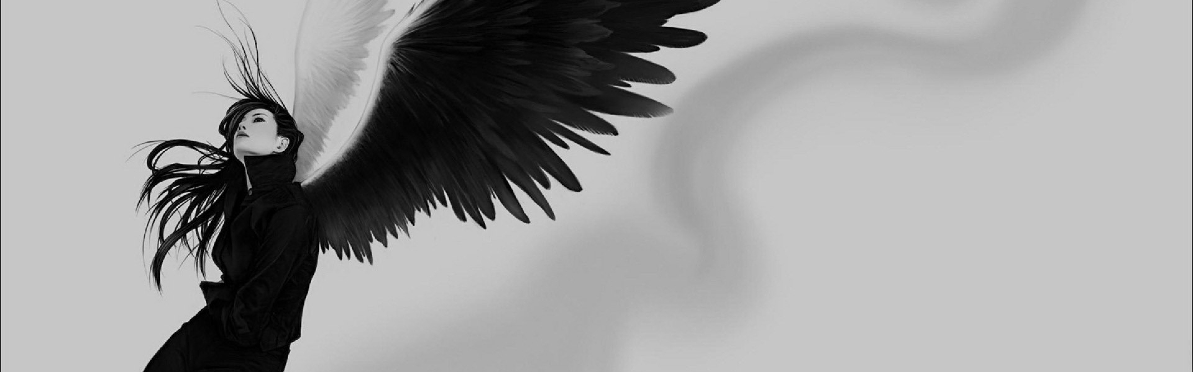 Black And White Wings Wallpapers Wallpaper Cave