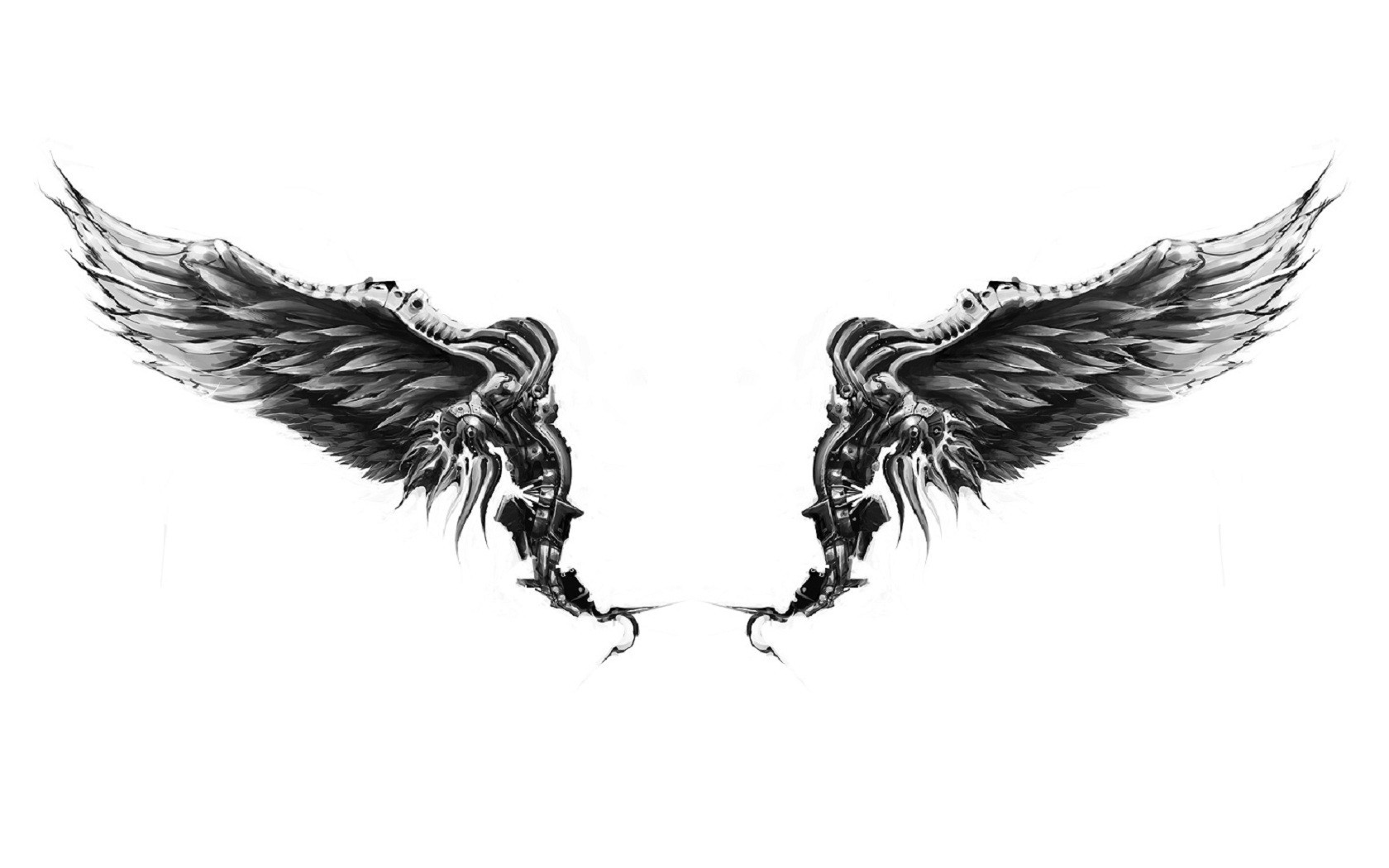 Black And White Wings Wallpapers Wallpaper Cave
