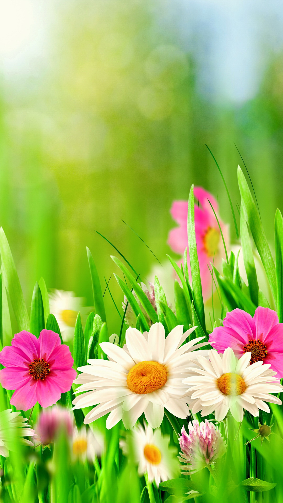 Spring Flowers Mobile Wallpapers Wallpaper Cave
