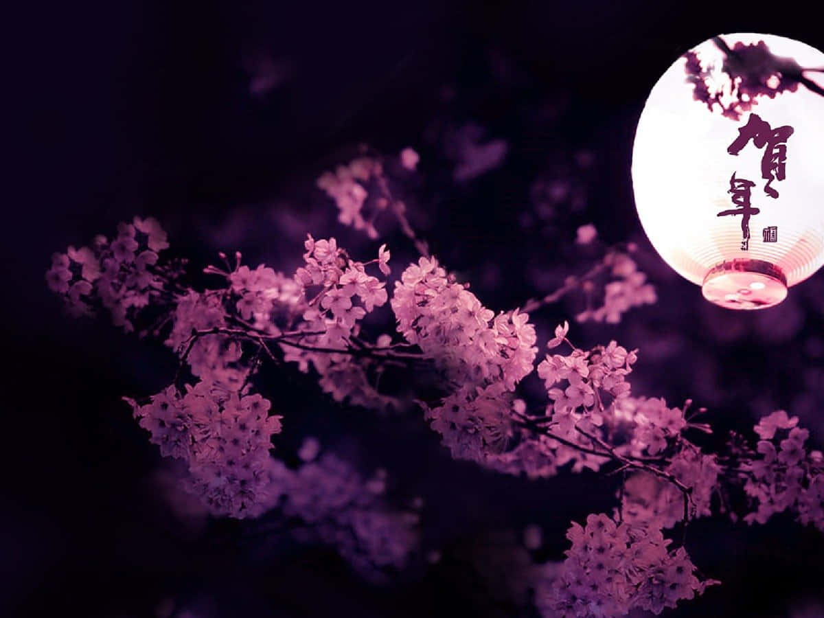 Dark Cherry Blossom Wallpapers Wallpaper Cave