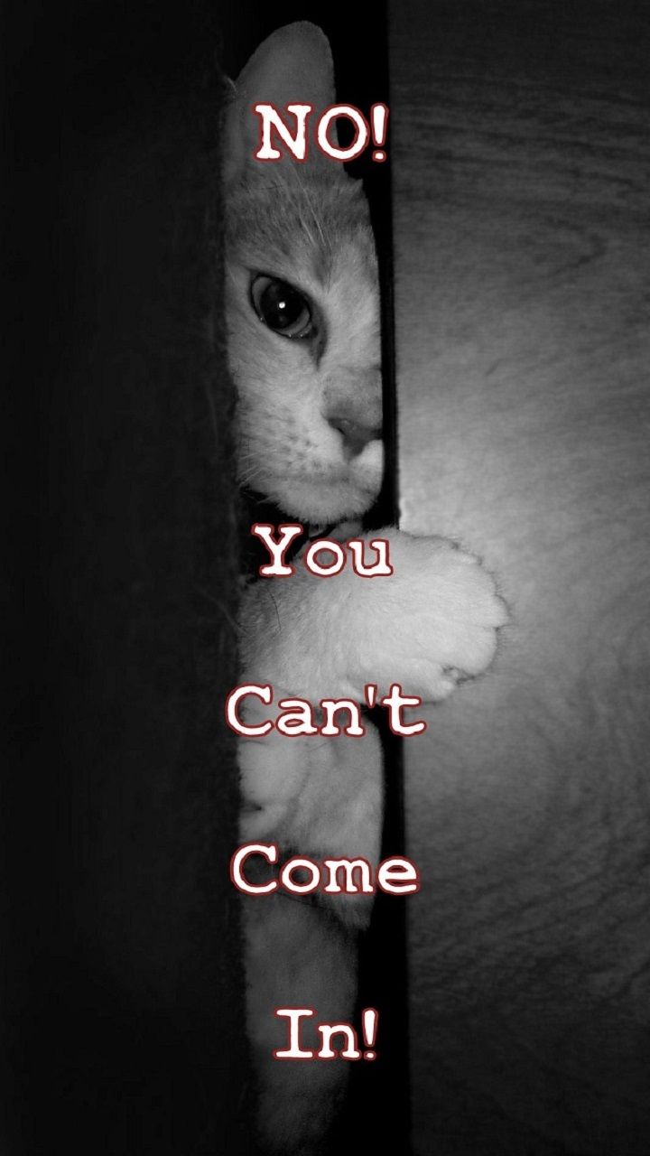 Stay Off My Phone Wallpapers Wallpaper Cave