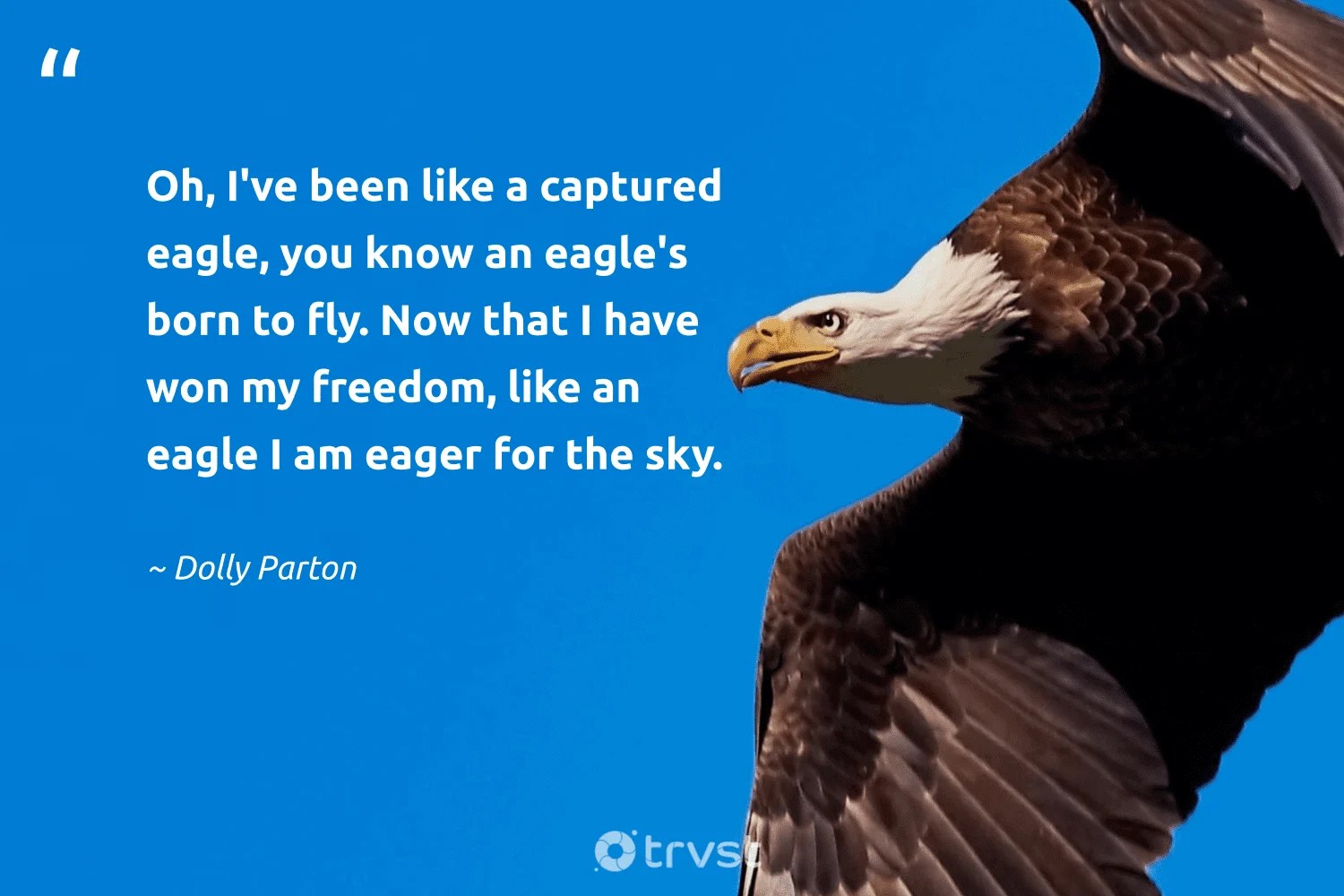 Eagle Quotes Wallpapers Wallpaper Cave